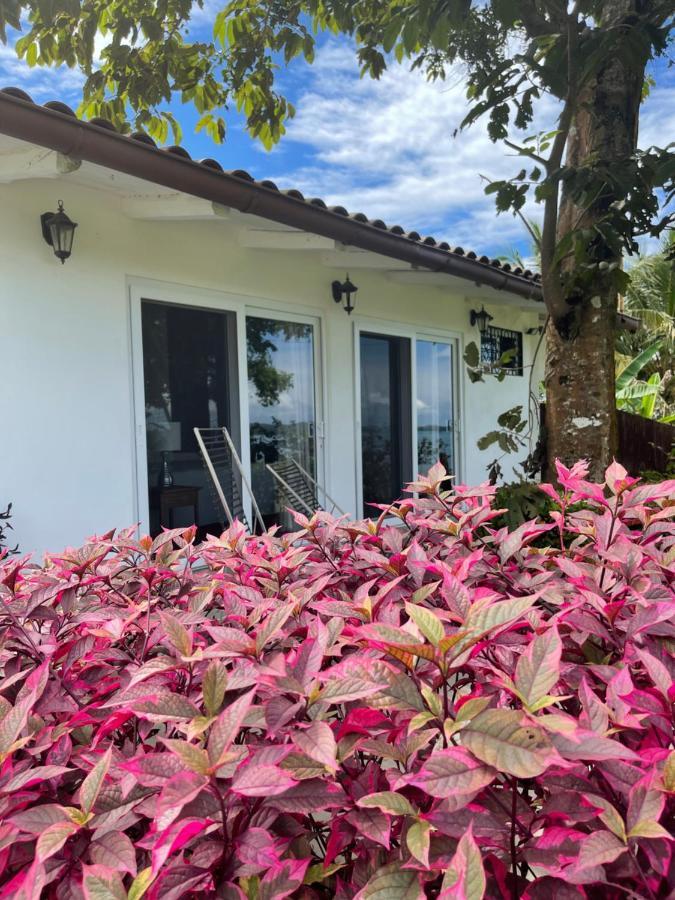 博卡奇卡Boca Brava Paradise住宿加早餐旅馆 外观 照片