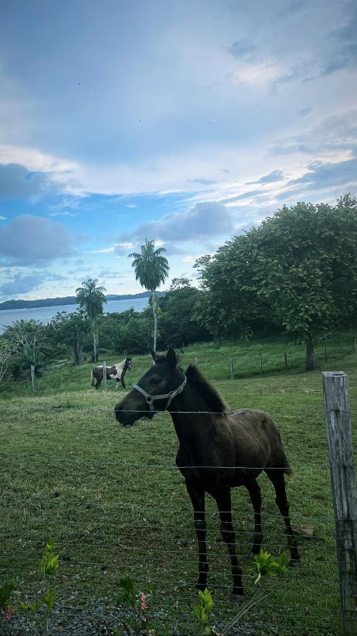 博卡奇卡Boca Brava Paradise住宿加早餐旅馆 外观 照片