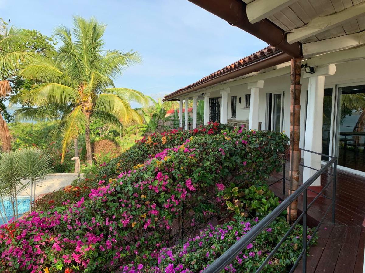 博卡奇卡Boca Brava Paradise住宿加早餐旅馆 外观 照片