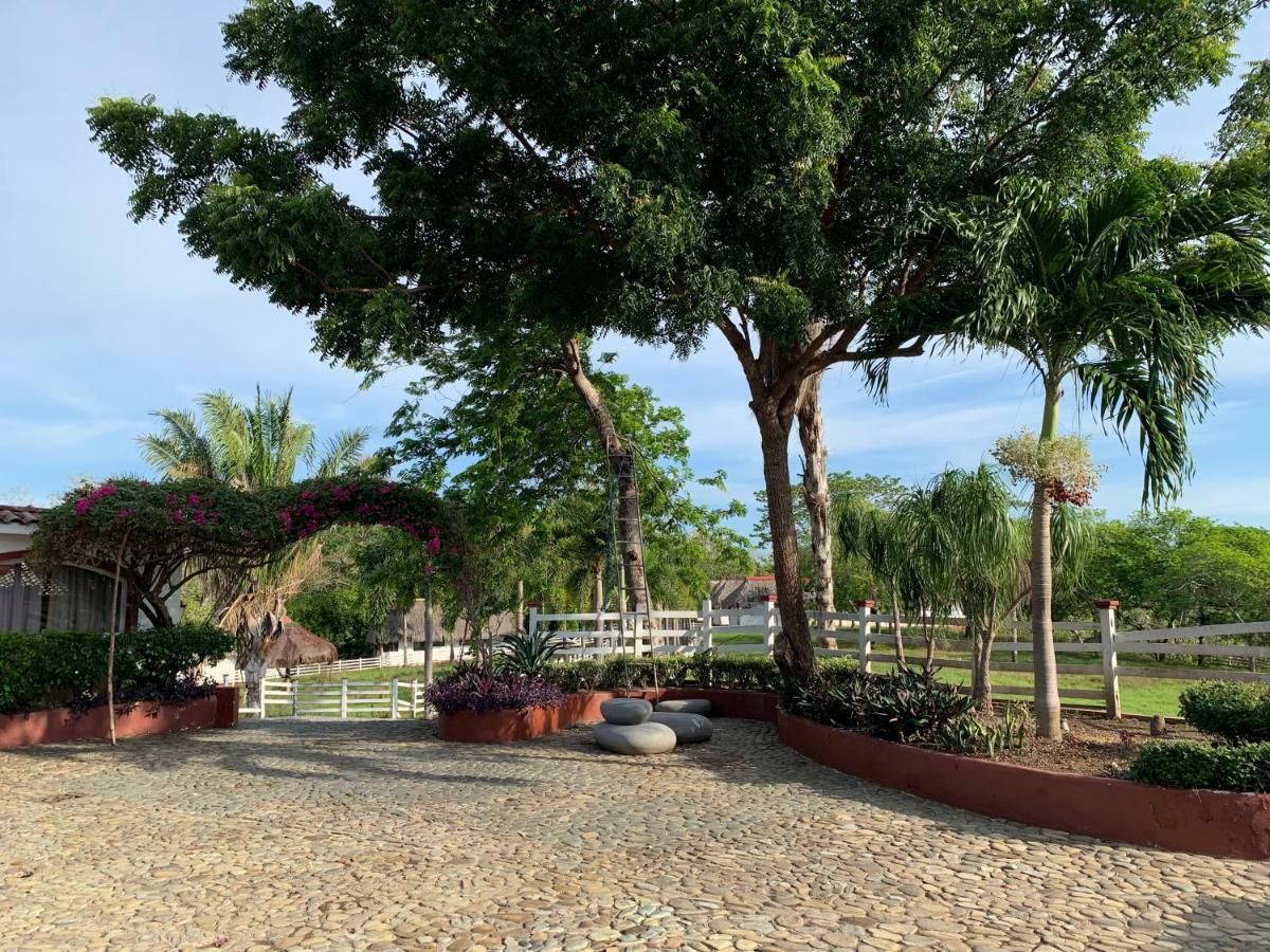博卡奇卡Boca Brava Paradise住宿加早餐旅馆 外观 照片