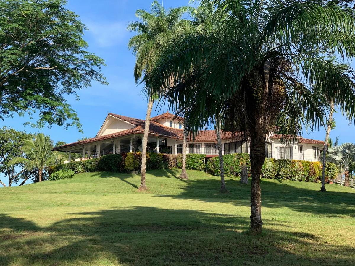 博卡奇卡Boca Brava Paradise住宿加早餐旅馆 外观 照片