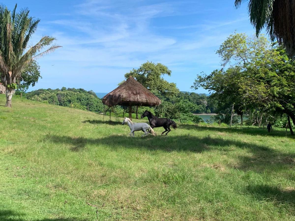 博卡奇卡Boca Brava Paradise住宿加早餐旅馆 外观 照片