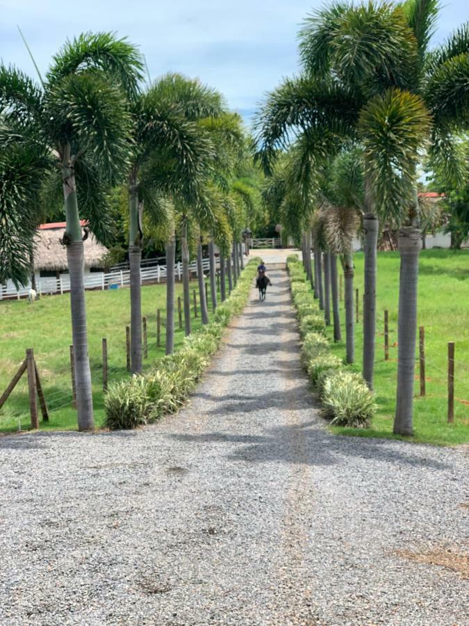 博卡奇卡Boca Brava Paradise住宿加早餐旅馆 外观 照片